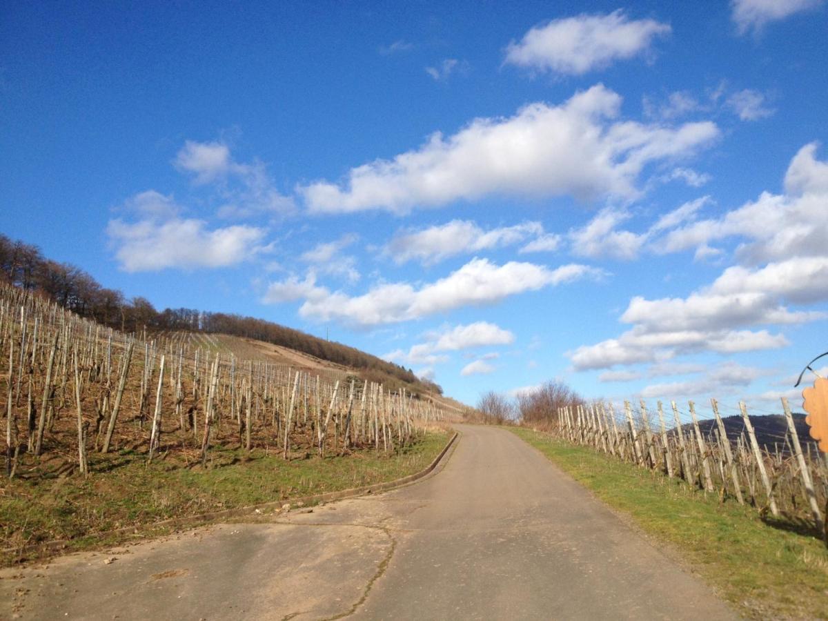 Hotel Weingut Dehren إيلينز-بولتيرسدورف المظهر الخارجي الصورة