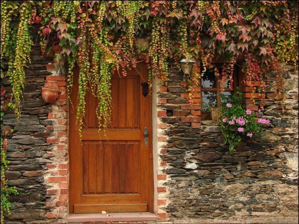 Hotel Weingut Dehren إيلينز-بولتيرسدورف المظهر الخارجي الصورة