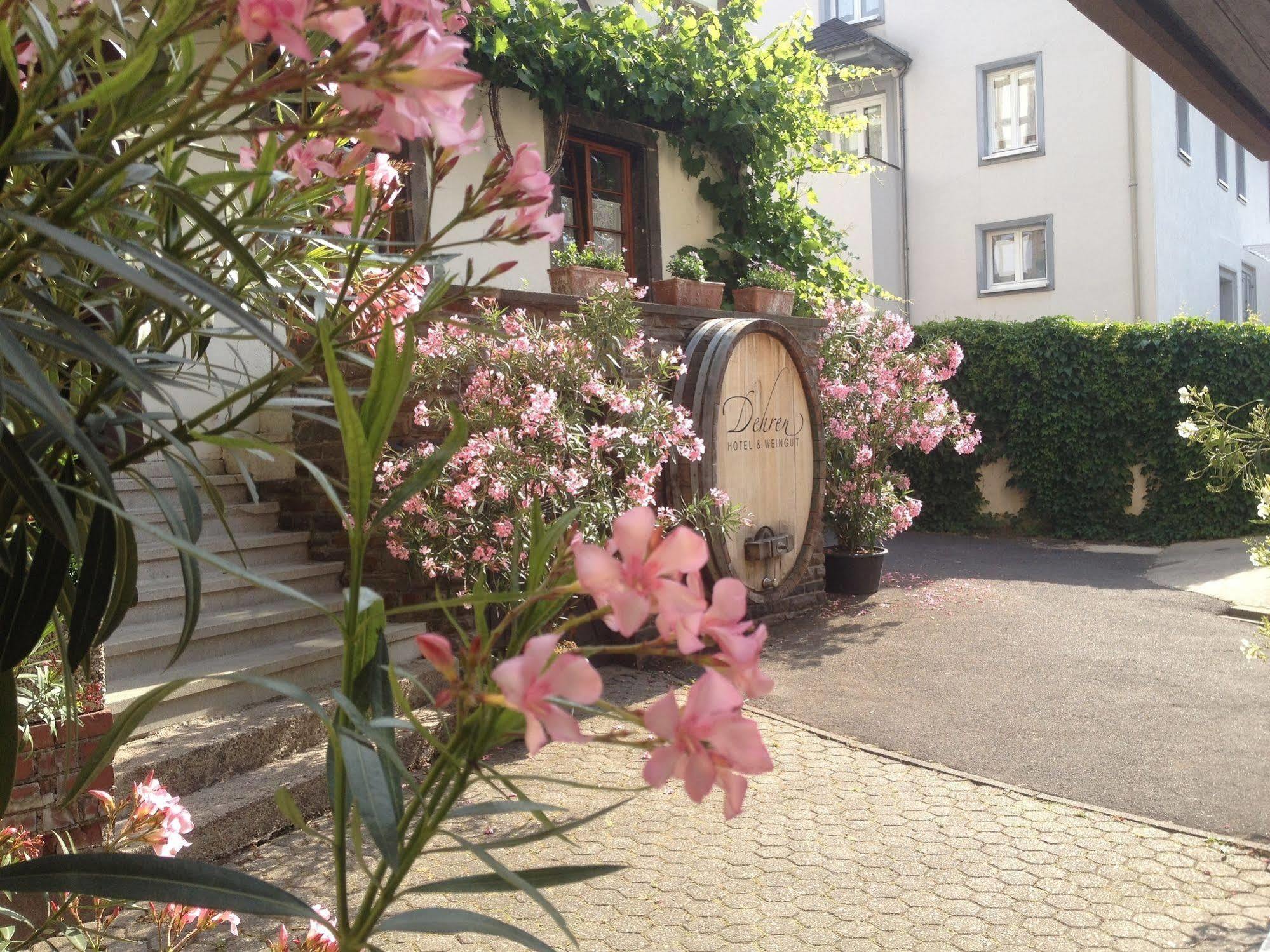 Hotel Weingut Dehren إيلينز-بولتيرسدورف المظهر الخارجي الصورة