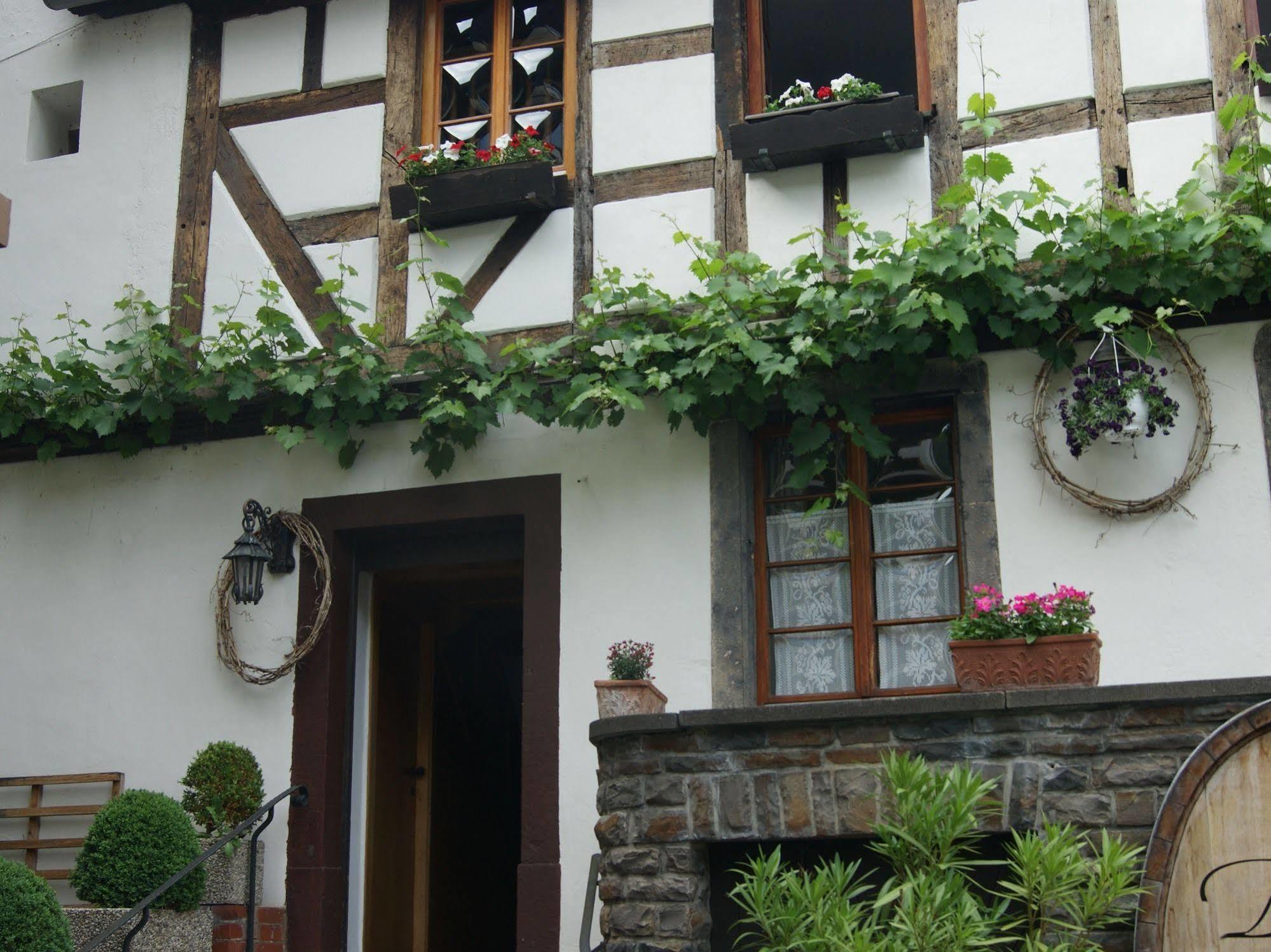 Hotel Weingut Dehren إيلينز-بولتيرسدورف المظهر الخارجي الصورة