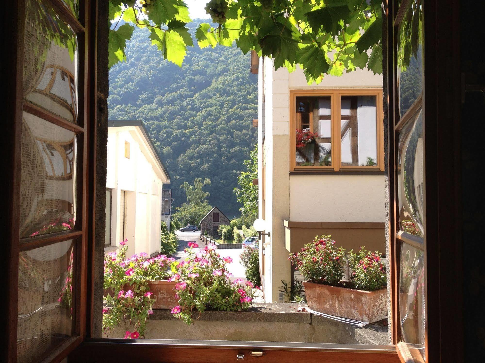 Hotel Weingut Dehren إيلينز-بولتيرسدورف المظهر الخارجي الصورة