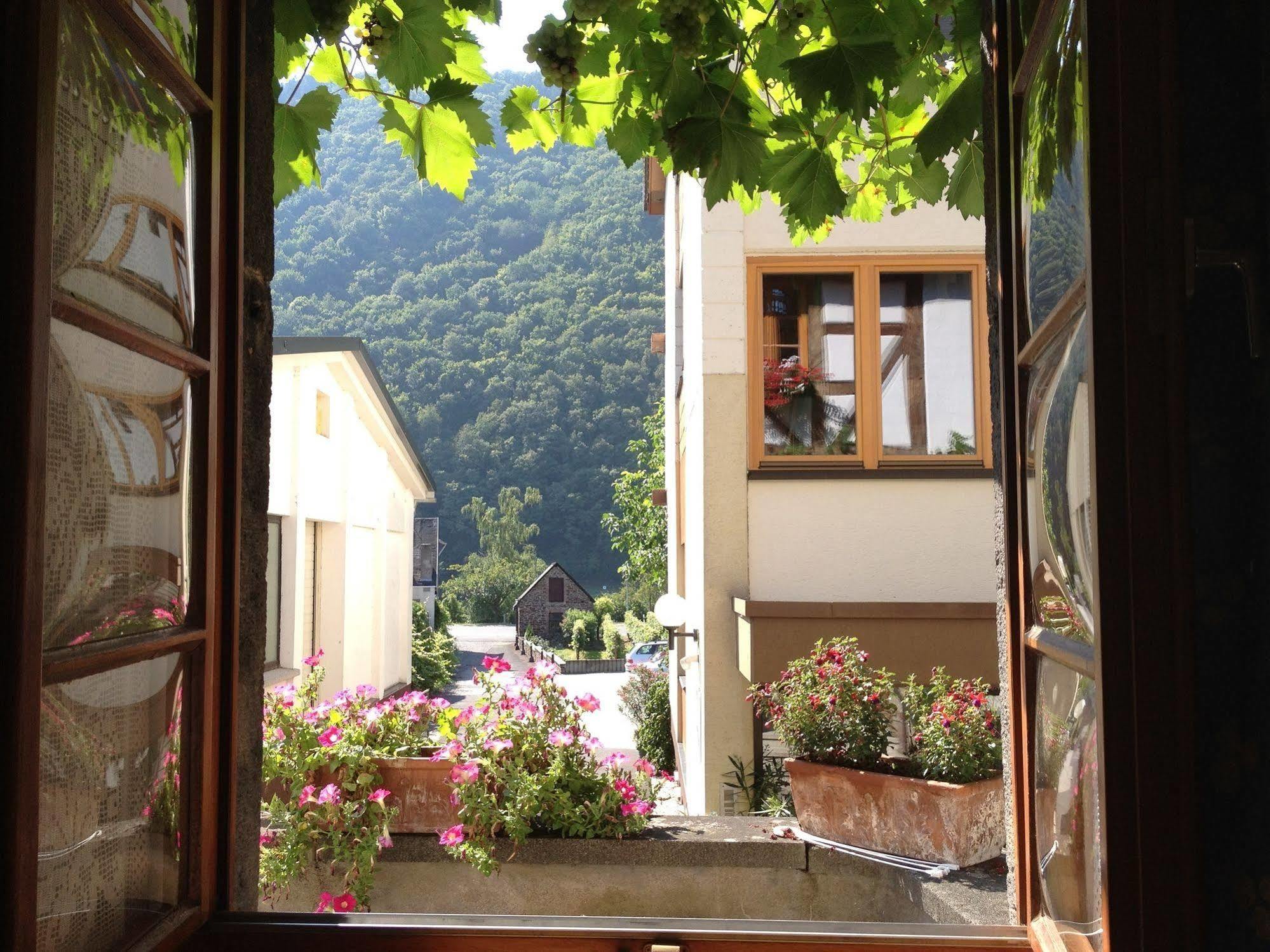Hotel Weingut Dehren إيلينز-بولتيرسدورف المظهر الخارجي الصورة